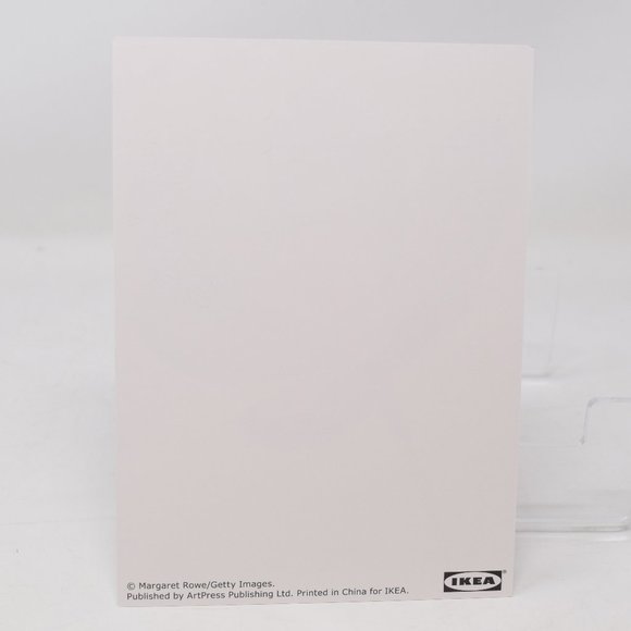 IKEA Kort Art Cards 5x7" Flora Set of 5 Floral Flowers Gallery Prints Retired - Picture 15 of 15